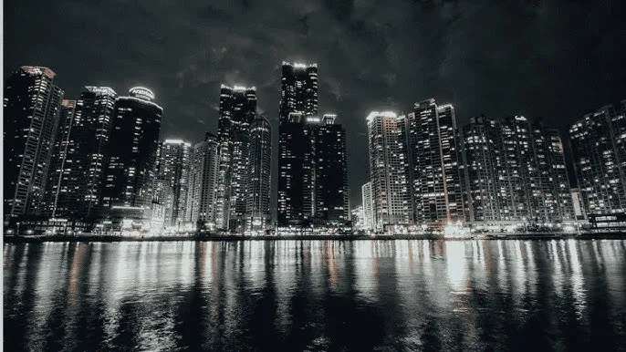 林子大了 - 城市之光：霓虹背后的人间烟火